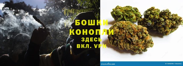 индика Ладушкин