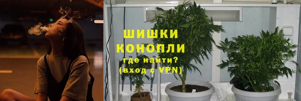 индика Ладушкин