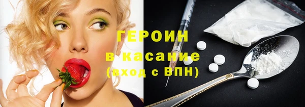 индика Ладушкин