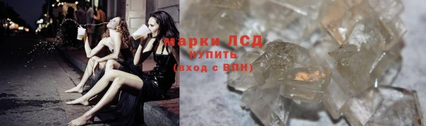 индика Ладушкин