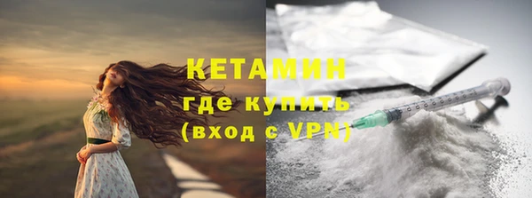 индика Ладушкин