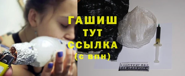 индика Ладушкин
