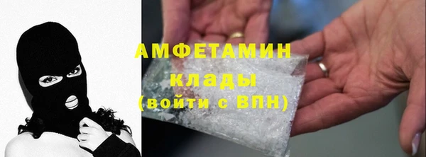 индика Ладушкин