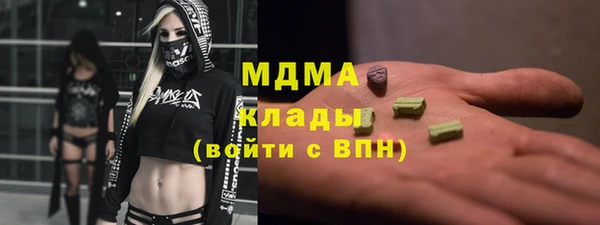 индика Ладушкин