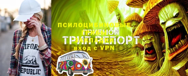 индика Ладушкин