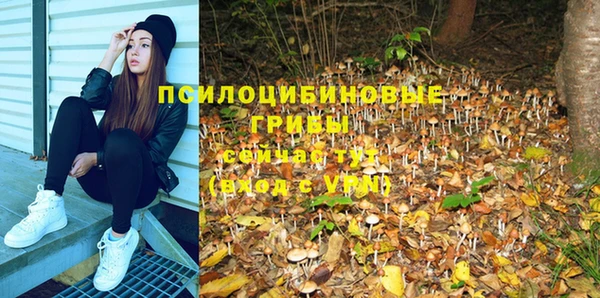индика Ладушкин
