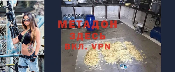 индика Ладушкин