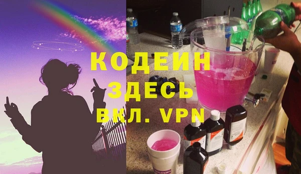 индика Ладушкин