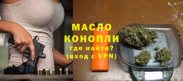 индика Ладушкин