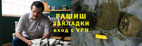 индика Ладушкин