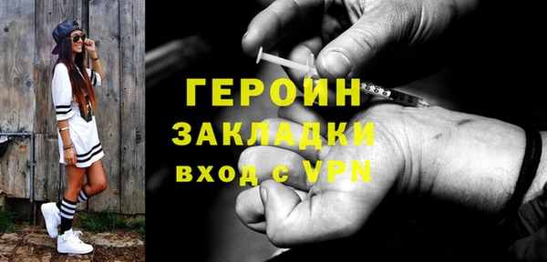 индика Ладушкин